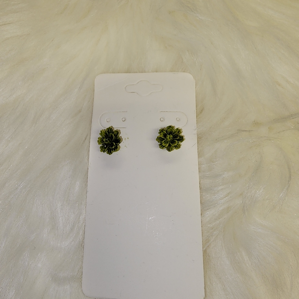 Succulent Earrings